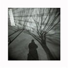 dailyPhoto4